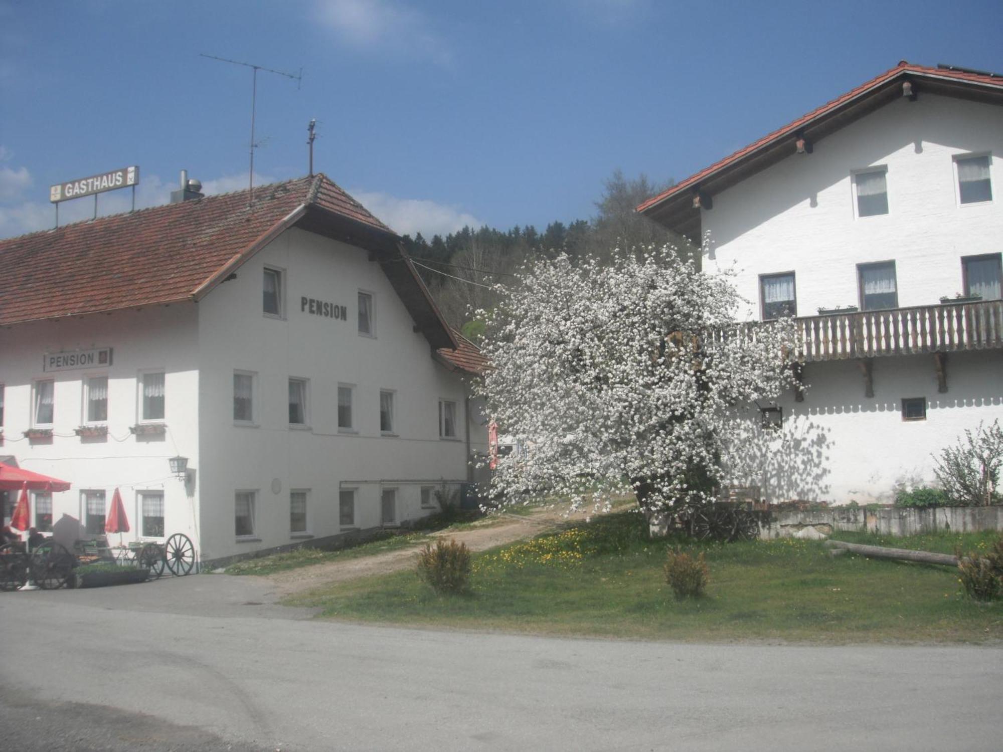 Gasthaus Zehrermuehle Schönberg 외부 사진
